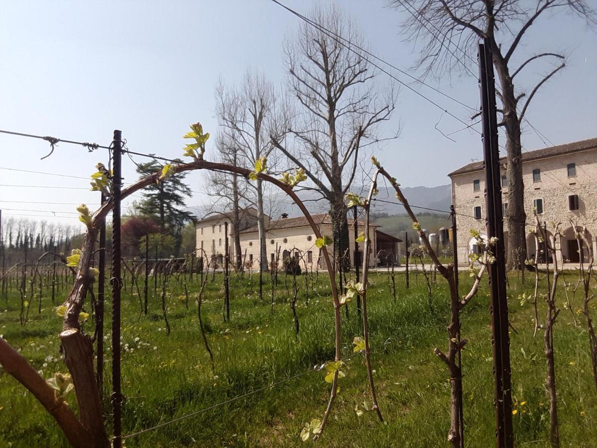 Agriturismo La Bella Follina Zewnętrze zdjęcie